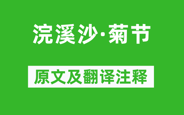 蘇軾《浣溪沙·菊節(jié)》原文及翻譯注釋,詩(shī)意解釋