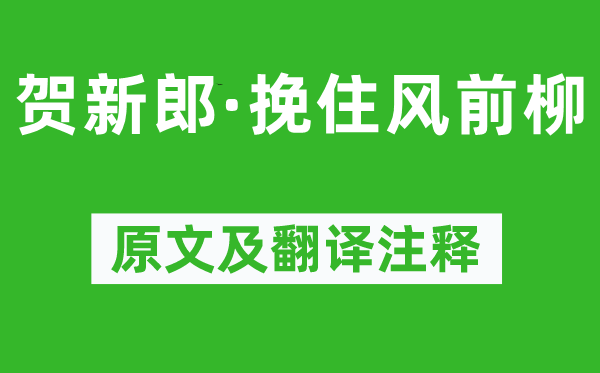 盧祖皋《賀新郎·挽住風前柳》原文及翻譯注釋,詩意解釋