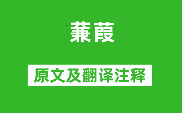 詩經·國風《蒹葭》原文及翻譯注釋,詩意解釋