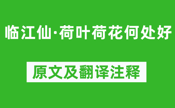 元好問《臨江仙·荷葉荷花何處好》原文及翻譯注釋,詩意解釋