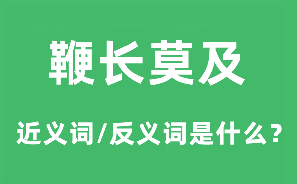 鞭長莫及的近義詞和反義詞是什么,鞭長莫及是什么意思