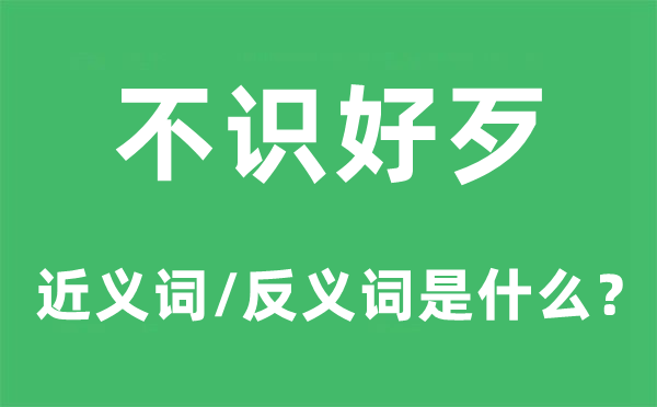 不識好歹的近義詞和反義詞是什么,不識好歹是什么意思