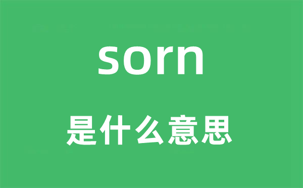 sorn是什么意思,sorn怎么讀,中文翻譯是什么