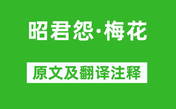 鄭域《昭君怨·梅花》原文及翻譯注釋,詩意解釋