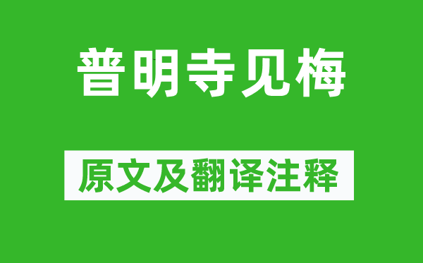 楊萬里《普明寺見梅》原文及翻譯注釋,詩意解釋
