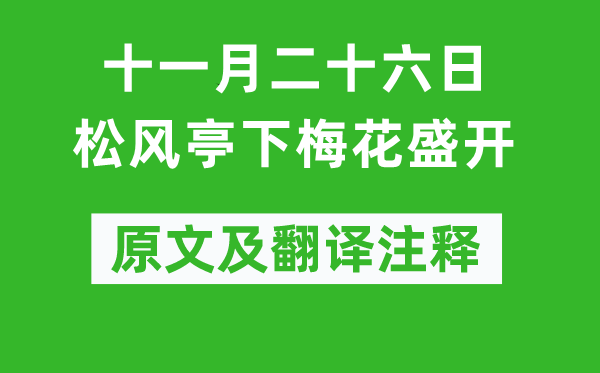 蘇軾《十一月二十六日松風(fēng)亭下梅花盛開》原文及翻譯注釋,詩意解釋