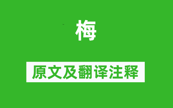杜牧《梅》原文及翻譯注釋,詩意解釋