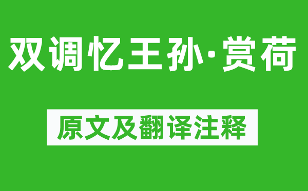 李清照《雙調憶王孫·賞荷》原文及翻譯注釋,詩意解釋