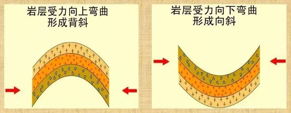 地球上為什么會有山,山是怎么形成的？