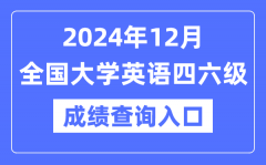 2024年12月英語四六級成績查詢官網(wǎng)
