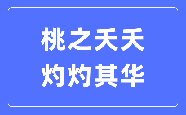 桃之夭夭，灼灼其華是什么意思,桃之夭夭灼灼其華的含義