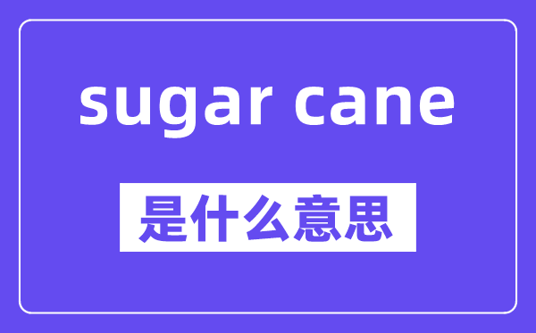 sugar cane是什么意思,中文翻譯是什么