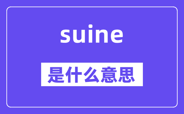 suine是什么意思,suine怎么讀,中文翻譯是什么