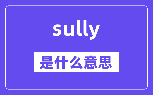 sully是什么意思,sully怎么讀,中文翻譯是什么